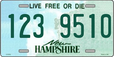 NH license plate 1239510