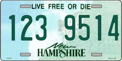 NH license plate 1239514
