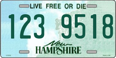 NH license plate 1239518