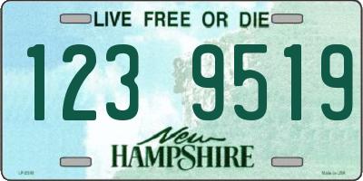 NH license plate 1239519