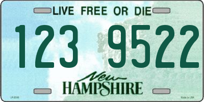 NH license plate 1239522