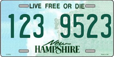 NH license plate 1239523
