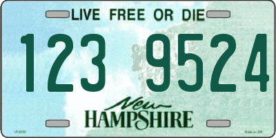 NH license plate 1239524