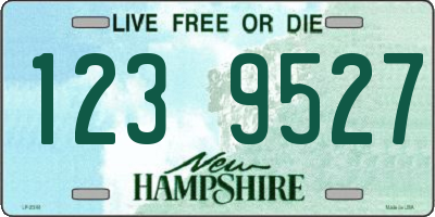 NH license plate 1239527