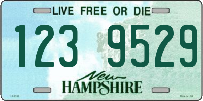 NH license plate 1239529