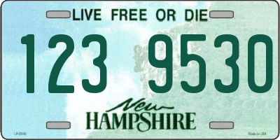 NH license plate 1239530