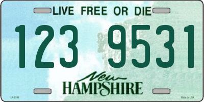 NH license plate 1239531