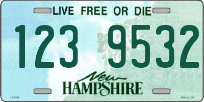 NH license plate 1239532