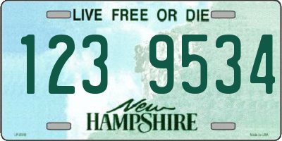NH license plate 1239534