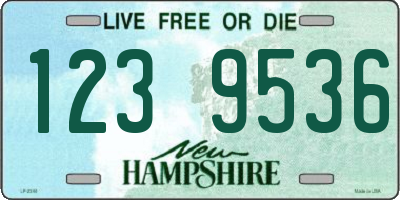 NH license plate 1239536