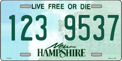 NH license plate 1239537