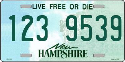 NH license plate 1239539