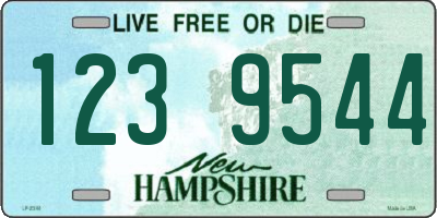 NH license plate 1239544