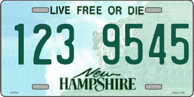 NH license plate 1239545