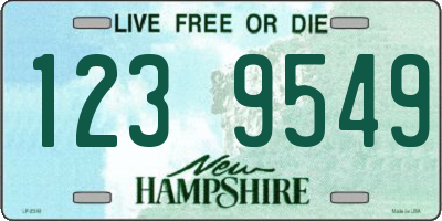 NH license plate 1239549