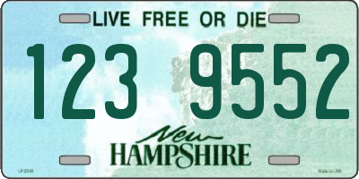 NH license plate 1239552