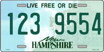 NH license plate 1239554