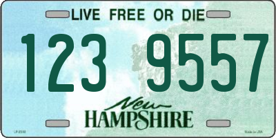 NH license plate 1239557