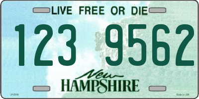 NH license plate 1239562