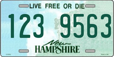 NH license plate 1239563
