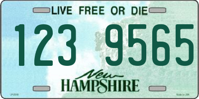 NH license plate 1239565