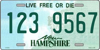NH license plate 1239567