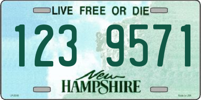 NH license plate 1239571