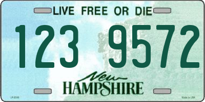 NH license plate 1239572