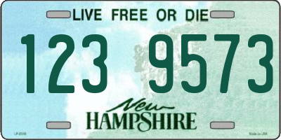 NH license plate 1239573