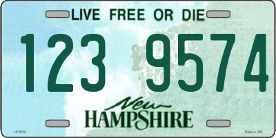 NH license plate 1239574