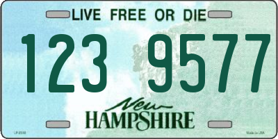 NH license plate 1239577