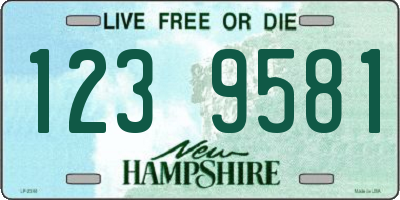 NH license plate 1239581