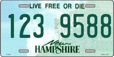 NH license plate 1239588