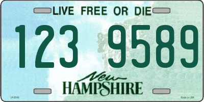 NH license plate 1239589