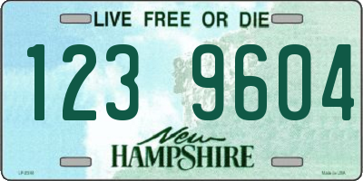 NH license plate 1239604