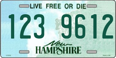 NH license plate 1239612