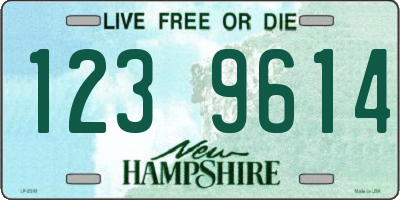 NH license plate 1239614