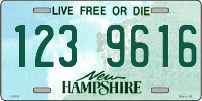 NH license plate 1239616