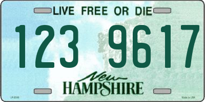 NH license plate 1239617
