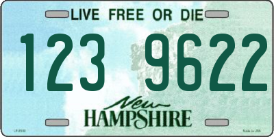 NH license plate 1239622