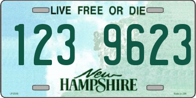 NH license plate 1239623