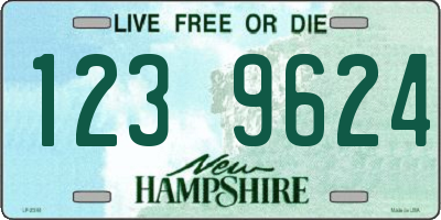 NH license plate 1239624