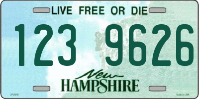 NH license plate 1239626