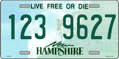 NH license plate 1239627