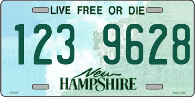 NH license plate 1239628
