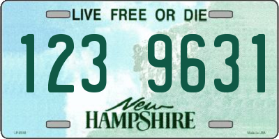 NH license plate 1239631