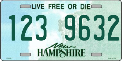 NH license plate 1239632