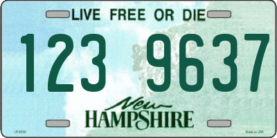 NH license plate 1239637