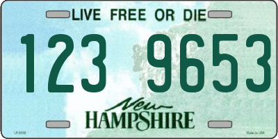 NH license plate 1239653