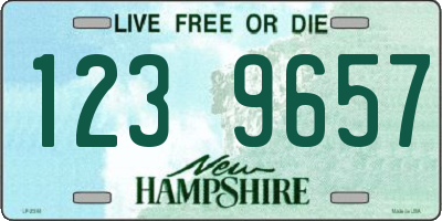NH license plate 1239657